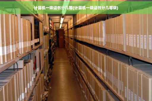 计算机一级证书分几等(计算机一级证书分几等级)