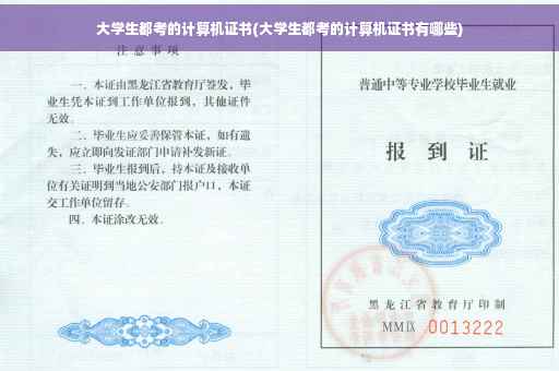 大学生都考的计算机证书(大学生都考的计算机证书有哪些)