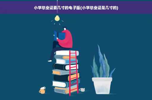 小学毕业证要几寸的电子版(小学毕业证是几寸的)
