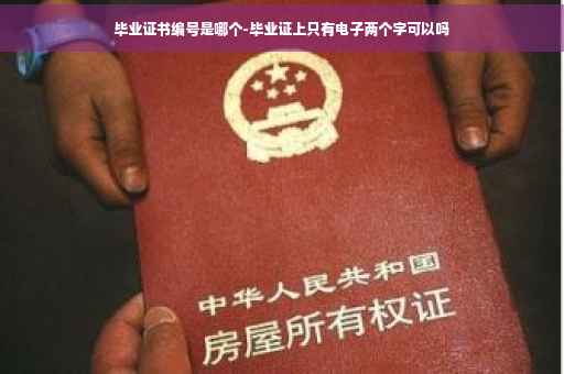 毕业证书编号是哪个-毕业证上只有电子两个字可以吗