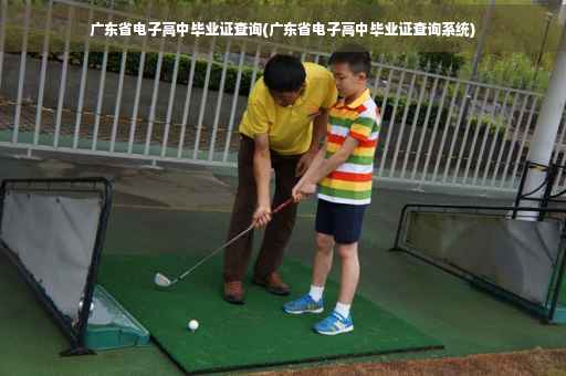 广东省电子高中毕业证查询(广东省电子高中毕业证查询系统)