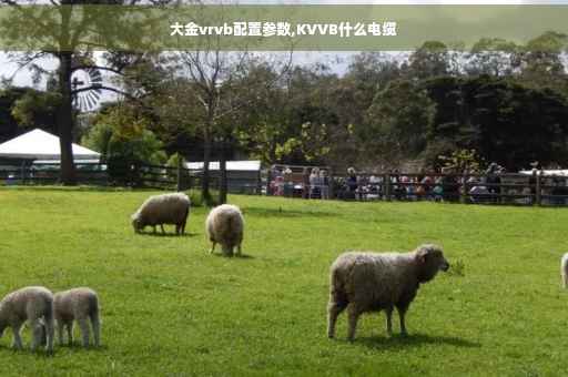 大金vrvb配置参数,KVVB什么电缆