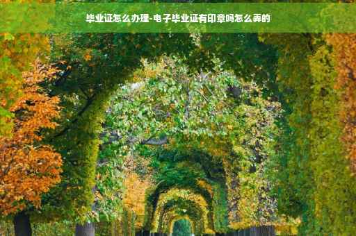 毕业证怎么办理-电子毕业证有印章吗怎么弄的