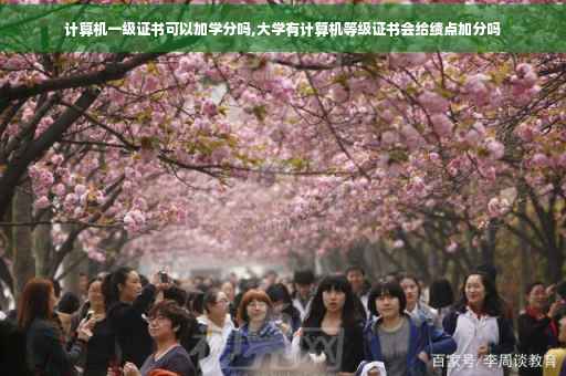计算机一级证书可以加学分吗,大学有计算机等级证书会给绩点加分吗