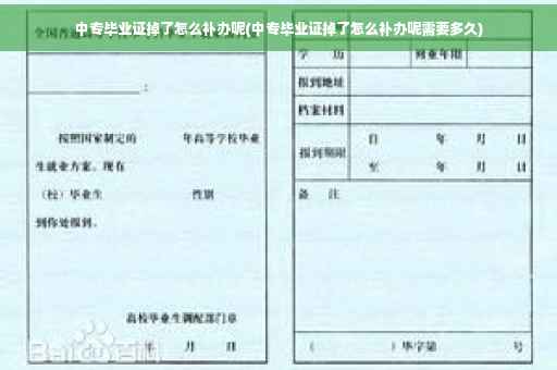 中专毕业证掉了怎么补办呢(中专毕业证掉了怎么补办呢需要多久)