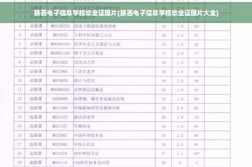 陕西电子信息学校毕业证图片(陕西电子信息学校毕业证图片大全)