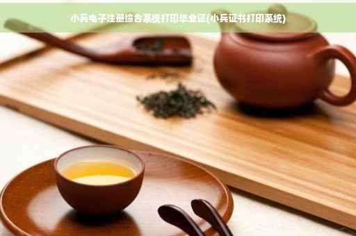 小兵电子注册综合系统打印毕业证(小兵证书打印系统) 小兵电子注册综合系统打印毕业证(小兵证书打印系统)
