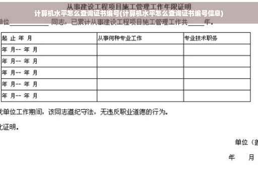 计算机水平怎么查询证书编号(计算机水平怎么查询证书编号信息)