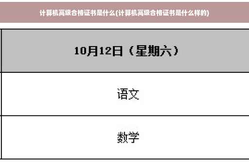 计算机高级合格证书是什么(计算机高级合格证书是什么样的)