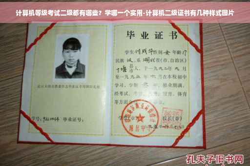 计算机等级考试二级都有哪些？学哪一个实用-计算机二级证书有几种样式图片