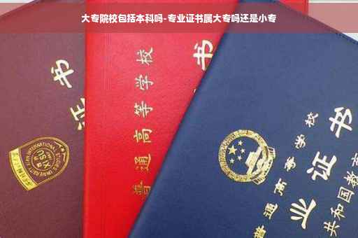 大专院校包括本科吗-专业证书属大专吗还是小专