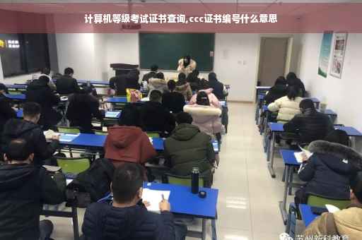 计算机等级考试证书查询,ccc证书编号什么意思
