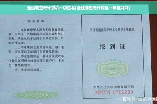 盐城哪里考计算机一级证书(盐城哪里考计算机一级证书好)
