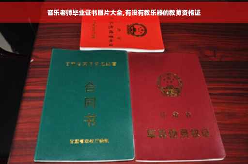 音乐老师毕业证书图片大全,有没有教乐器的教师资格证