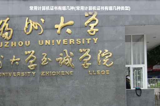 常用计算机证书有哪几种(常用计算机证书有哪几种类型)