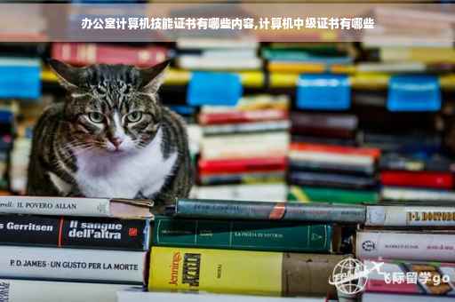 办公室计算机技能证书有哪些内容,计算机中级证书有哪些