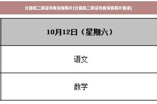 计算机二级证书有没有照片(计算机二级证书有没有照片要求)