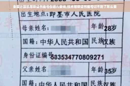 全国计算机等级证书编号在哪儿查询,技术等级证书编号记不到了怎么查