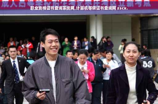 职业资格证书查询系统网,计算机等级证书查询网 zscx.