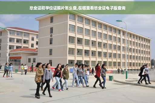 毕业证和学位证照片怎么查,在哪里看毕业证电子版查询