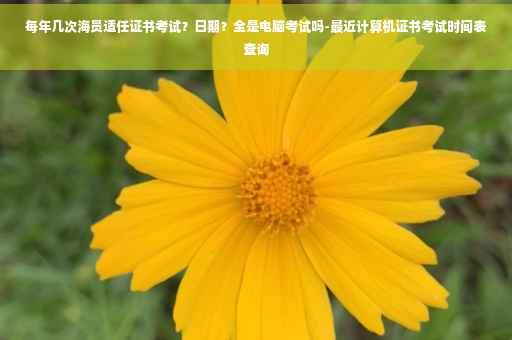 每年几次海员适任证书考试？日期？全是电脑考试吗-最近计算机证书考试时间表查询