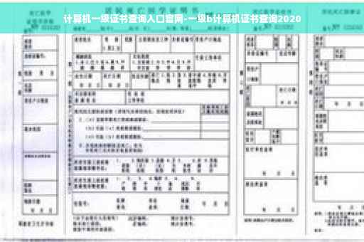 计算机一级证书查询入口官网-一级b计算机证书查询2020