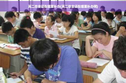 高二毕业证在哪里补办(高二毕业证在哪里补办呢)