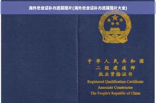海外毕业证补办流程图片(海外毕业证补办流程图片大全)