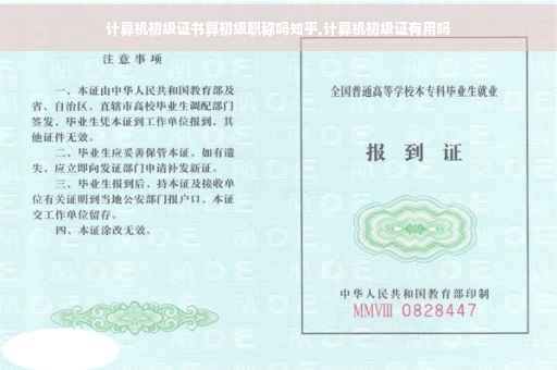 计算机初级证书算初级职称吗知乎,计算机初级证有用吗