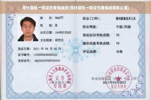 用计算机一级证书查询成绩(用计算机一级证书查询成绩怎么查)