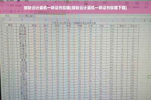 微软云计算机一级证书在哪(微软云计算机一级证书在哪下载)