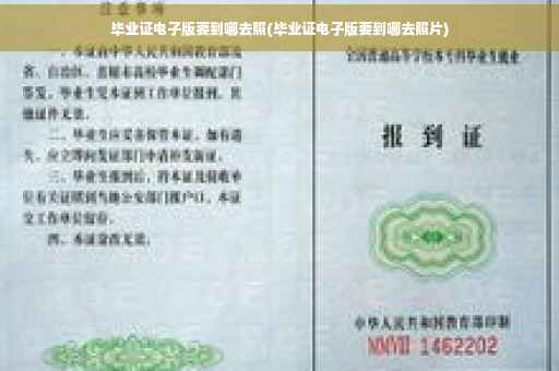 毕业证电子版要到哪去照(毕业证电子版要到哪去照片)