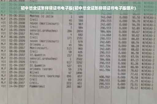 初中毕业证怎样领证书电子版(初中毕业证怎样领证书电子版图片)