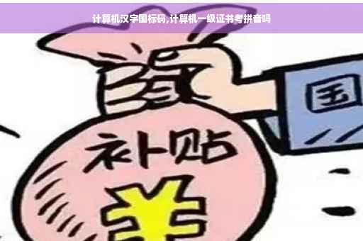 计算机汉字国标码,计算机一级证书考拼音吗