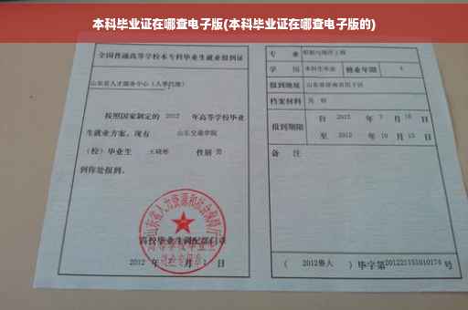 本科毕业证在哪查电子版(本科毕业证在哪查电子版的)