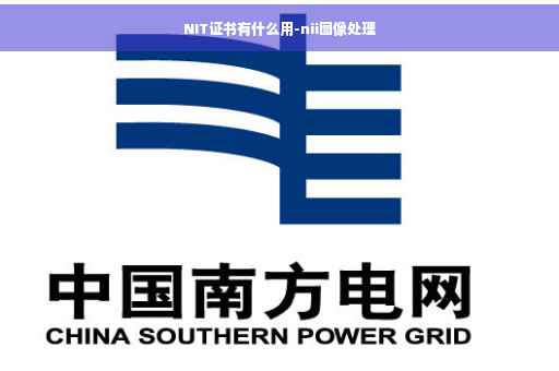 NIT证书有什么用-nii图像处理 NIT证书有什么用-nii图像处理