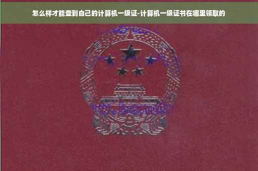 怎么样才能查到自己的计算机一级证-计算机一级证书在哪里领取的
