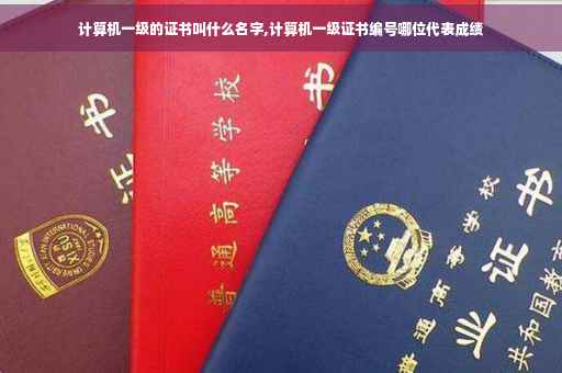 计算机一级的证书叫什么名字,计算机一级证书编号哪位代表成绩