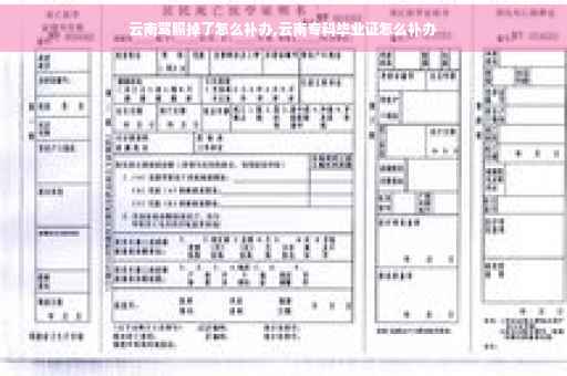云南驾照掉了怎么补办,云南专科毕业证怎么补办