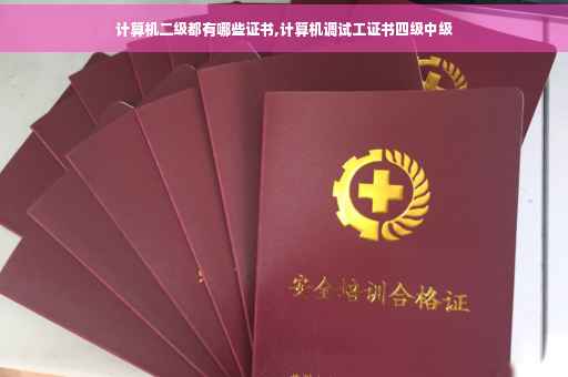 计算机二级都有哪些证书,计算机调试工证书四级中级