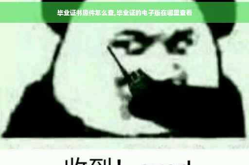 毕业证书原件怎么查,毕业证的电子版在哪里查看 毕业证书原件怎么查,毕业证的电子版在哪里查看