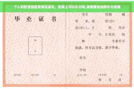 个人的职业技能资格证丢失，在网上可以补办吗,海南营业执照补办流程