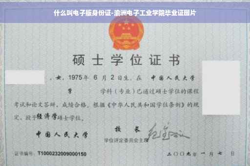 什么叫电子版身份证-渝洲电子工业学院毕业证图片