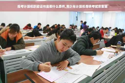 报考计算机职称证书需要什么条件,青少年计算机等级考试含金量