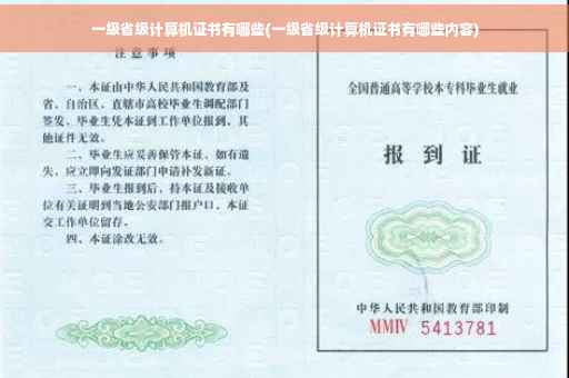 一级省级计算机证书有哪些(一级省级计算机证书有哪些内容)