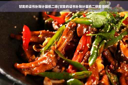 甘肃的证书补贴计算机二级(甘肃的证书补贴计算机二级能领吗) 甘肃的证书补贴计算机二级(甘肃的证书补贴计算机二级能领吗)