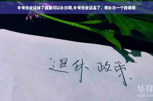中专毕业证掉了哪里可以补办呢,中专毕业证丢了，想补办一个找谁呢