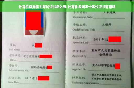 计算机应用能力考试证书怎么查-计算机应用学士学位证书有用吗