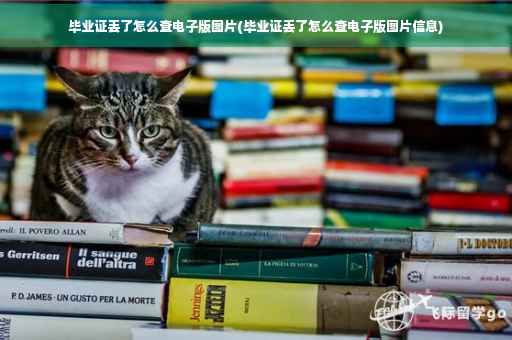 毕业证丢了怎么查电子版图片(毕业证丢了怎么查电子版图片信息)