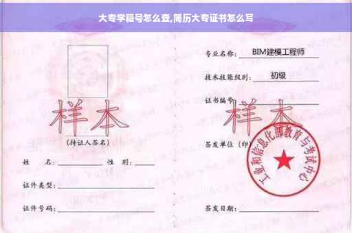 大专学籍号怎么查,简历大专证书怎么写